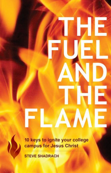 a light in the flame pdf download